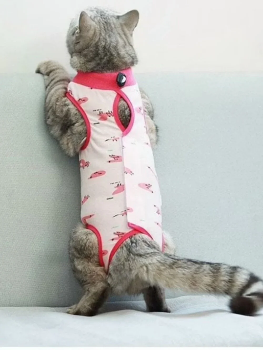 Cat Neuter Recovery Suit Surgery Recovery SIZE S